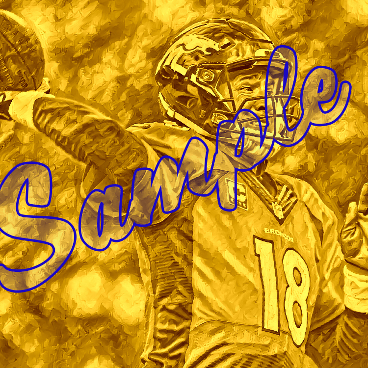 NFL: Denver Broncos: Peyton Manning 2.08 Limited to 1 Copy